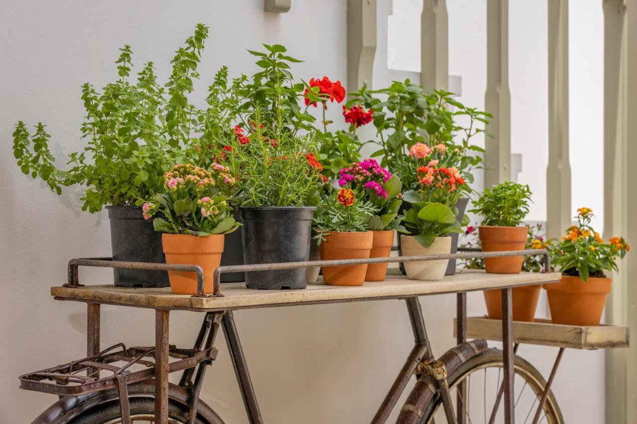 Amarada City Suites Rhodes City Eksteriør billede